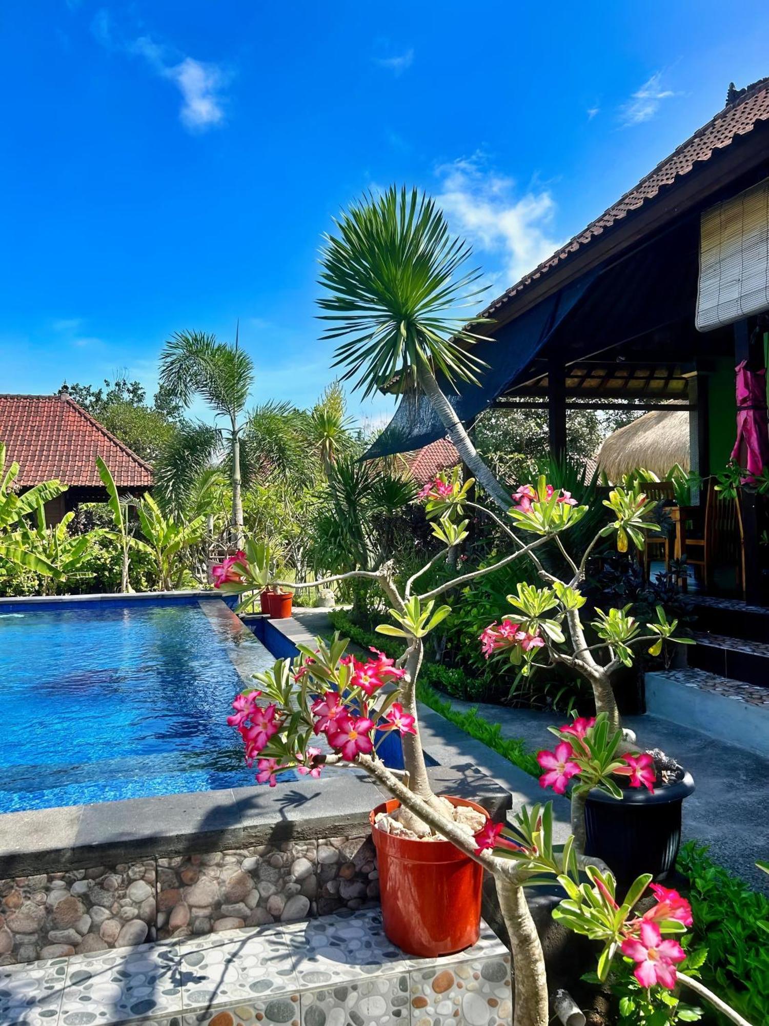 Island Garden Huts Lembongan Bed & Breakfast Exterior photo