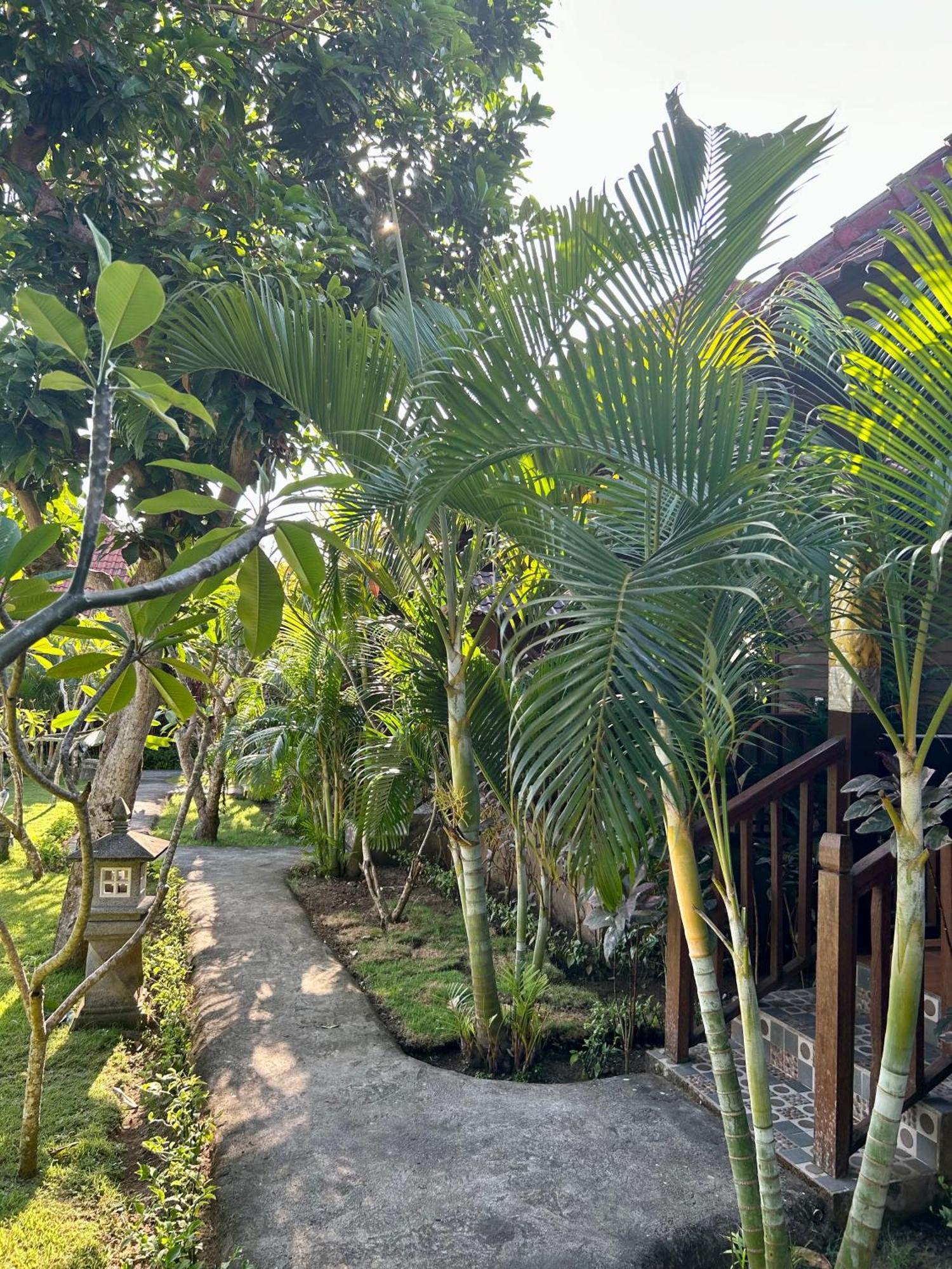 Island Garden Huts Lembongan Bed & Breakfast Exterior photo