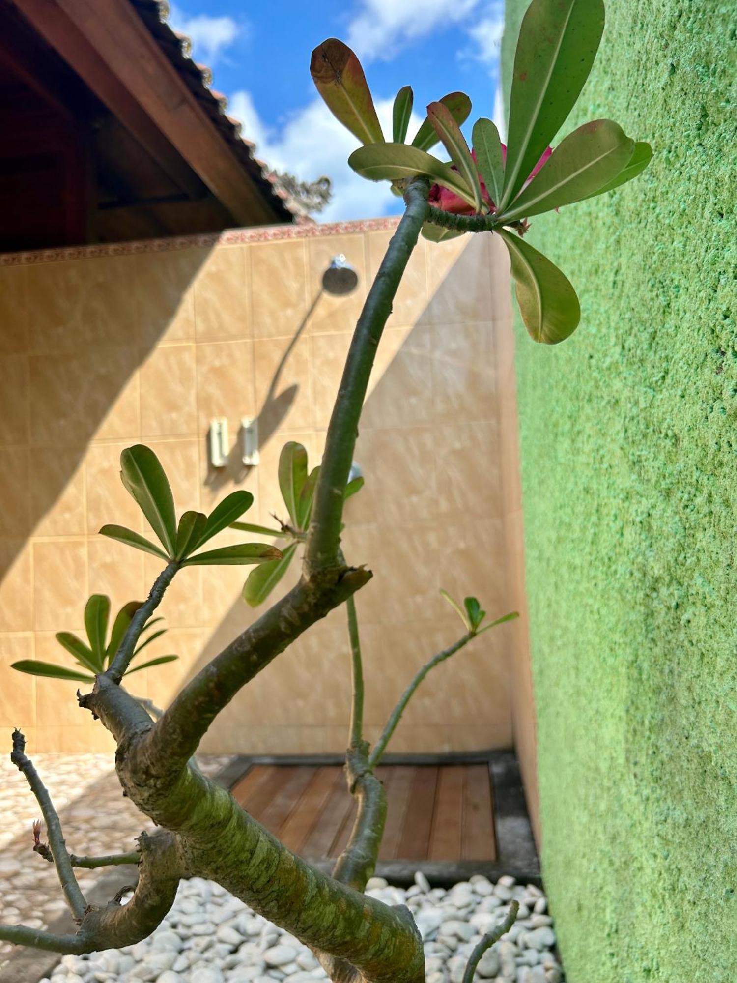 Island Garden Huts Lembongan Bed & Breakfast Exterior photo