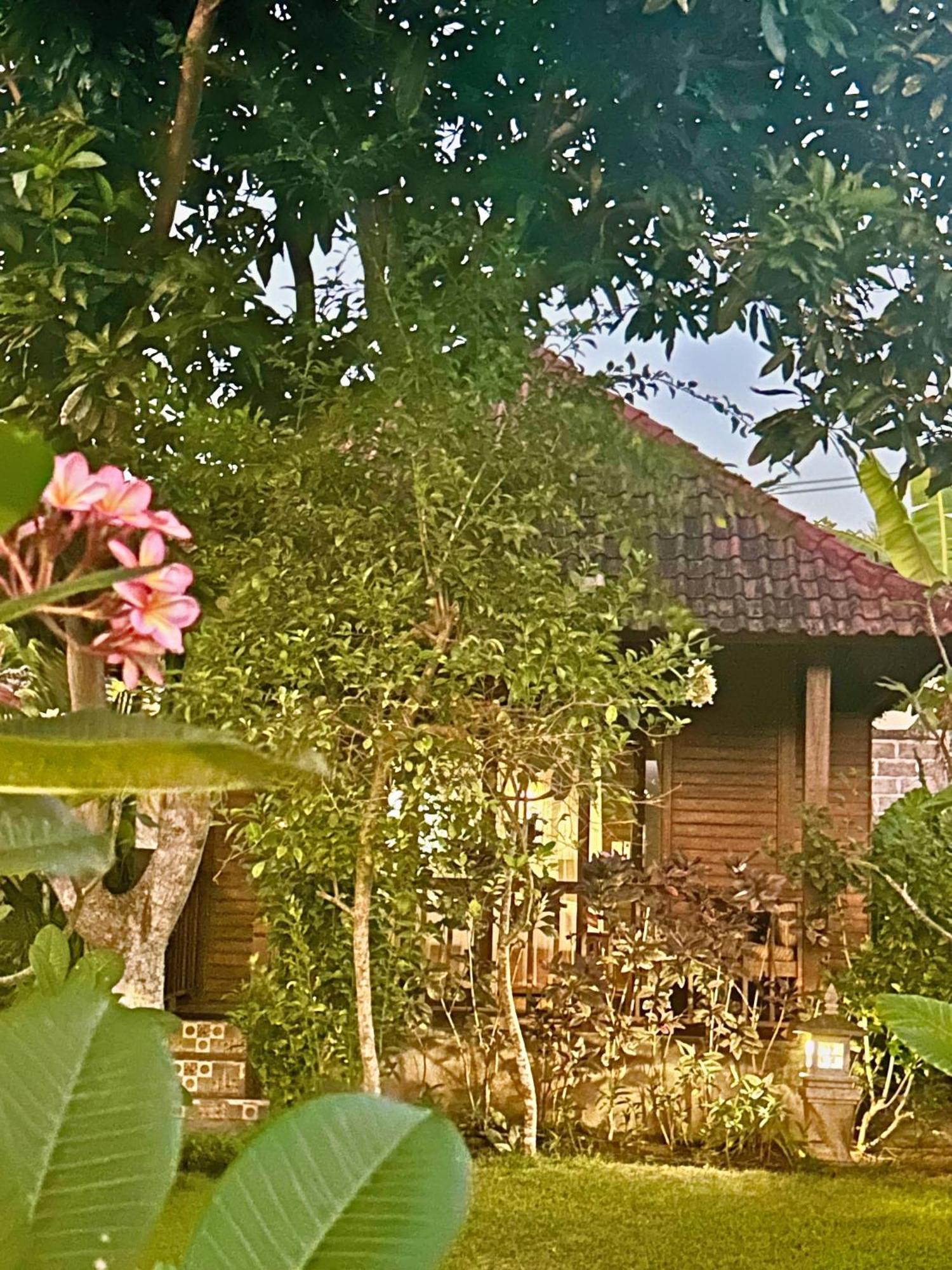 Island Garden Huts Lembongan Bed & Breakfast Exterior photo