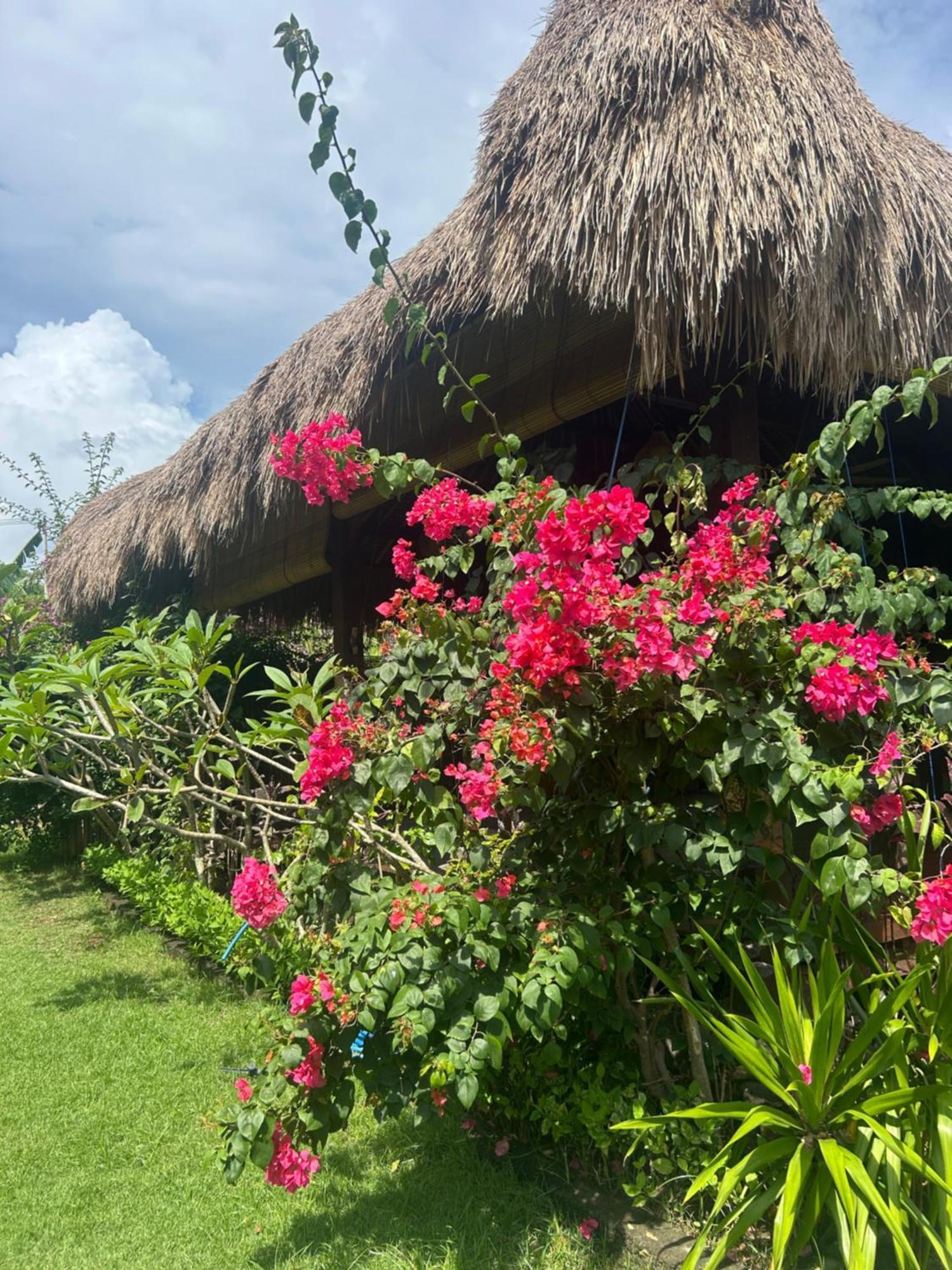 Island Garden Huts Lembongan Bed & Breakfast Exterior photo