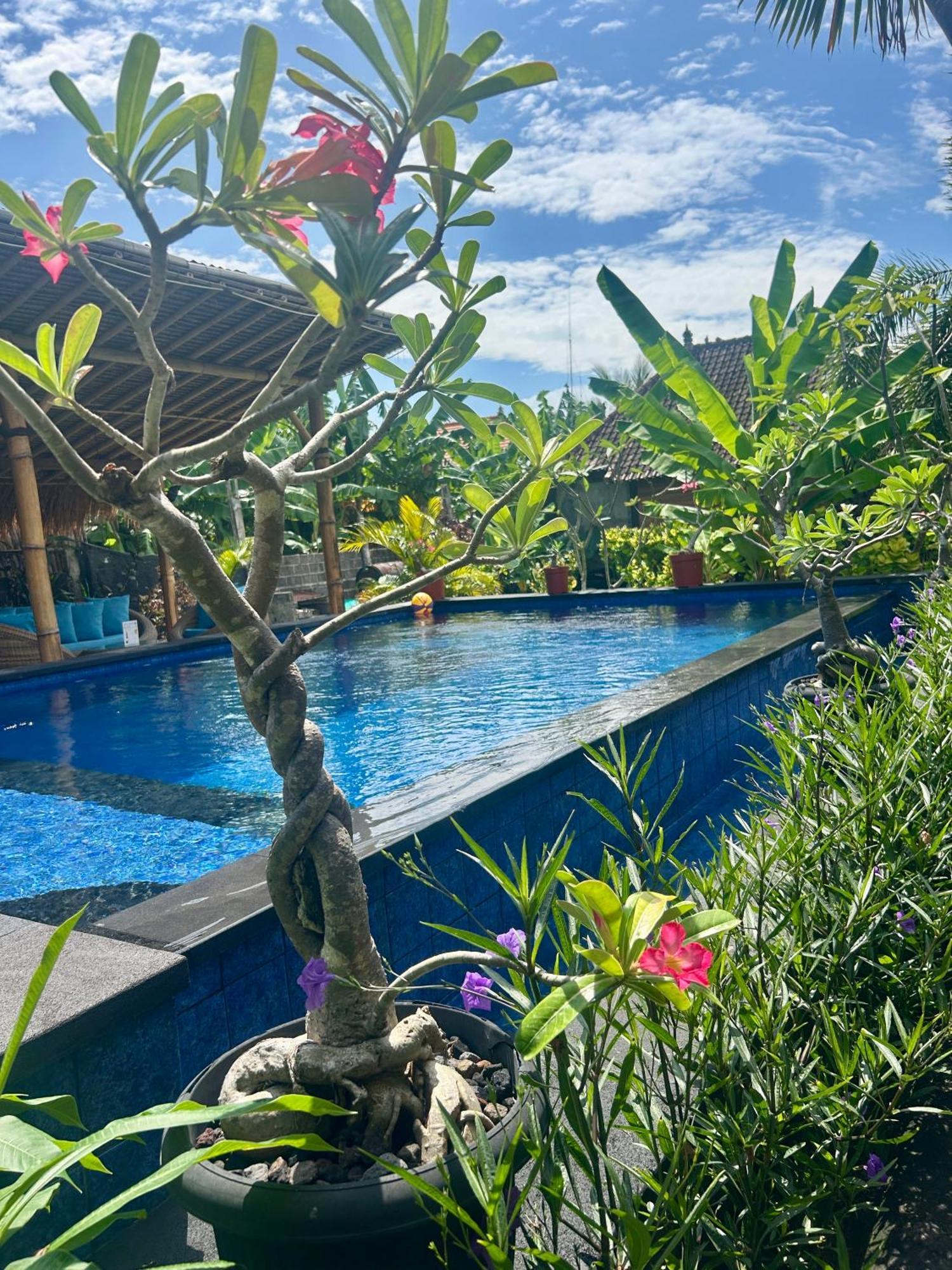 Island Garden Huts Lembongan Bed & Breakfast Exterior photo